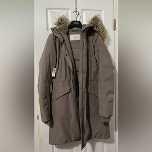 Aritzia Wilfred Northstar parka